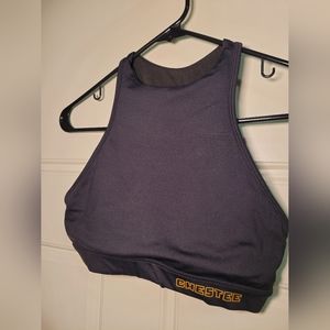 CHESTEE weightlifting bra with padding over color bone